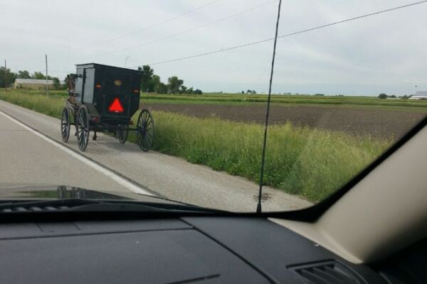 This Horse-And-Buggy Illinois Village Makes A Cozy Fall Day Trip That Barely Costs A Thing