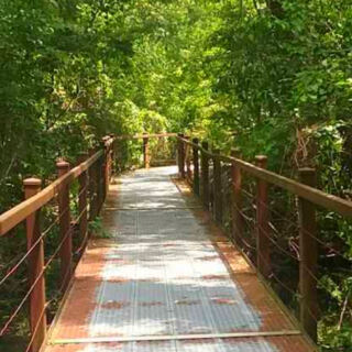 12 Missouri Nature Trails Under 2 Miles