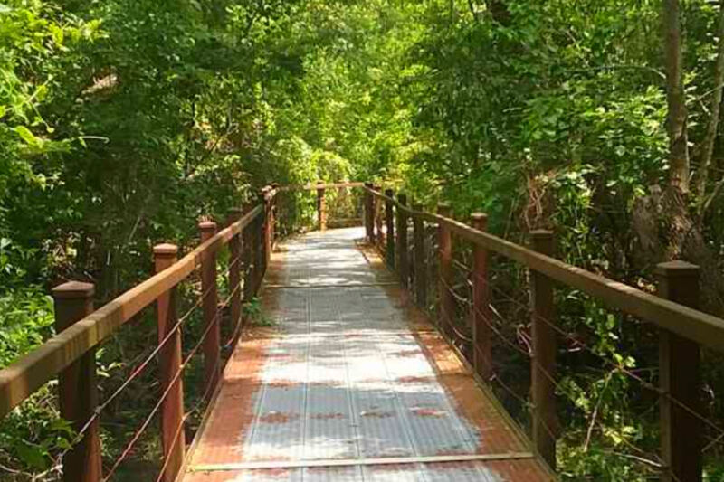 12 Missouri Nature Trails Under 2 Miles