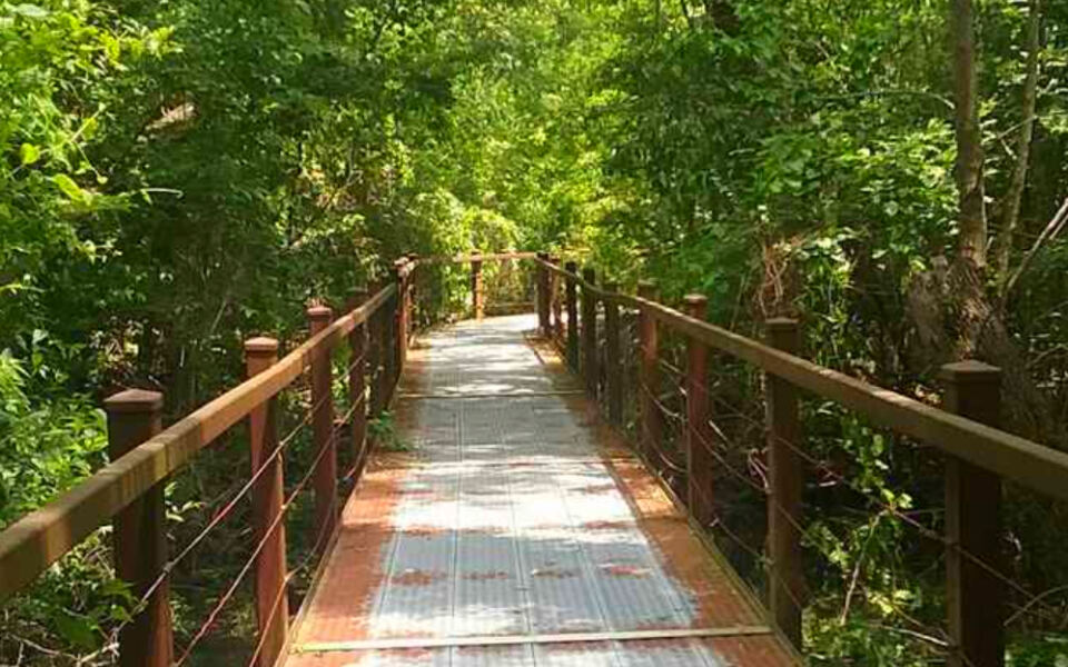 12 Missouri Nature Trails Under 2 Miles