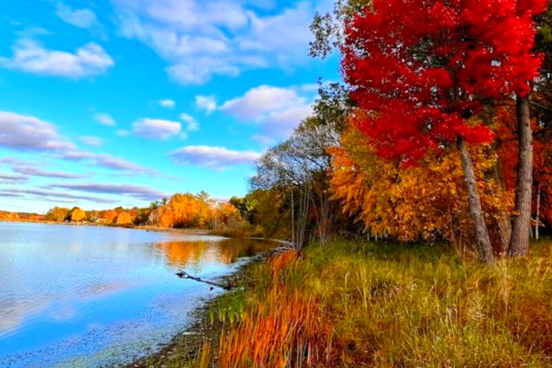 This Hidden Ludington Trail Has Birch Forest Paths, Outdoor Art, and a Lake Just Minutes Away