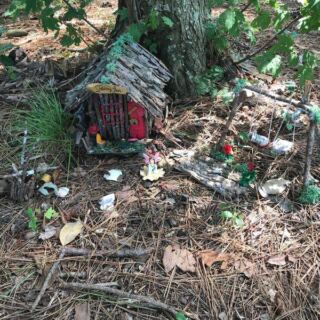 Somewhere in the Maryland Woods, a Cluster of Tiny Homemade Fairy Houses Appears, and No One Quite Explains Why