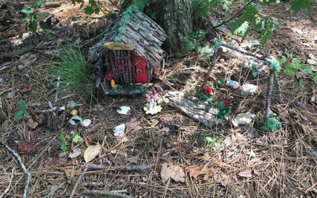 Somewhere in the Maryland Woods, a Cluster of Tiny Homemade Fairy Houses Appears, and No One Quite Explains Why