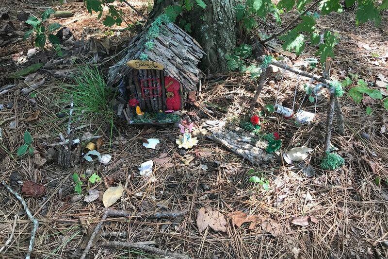 Somewhere in the Maryland Woods, a Cluster of Tiny Homemade Fairy Houses Appears, and No One Quite Explains Why
