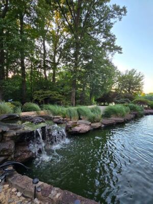 This Virginia Restaurant Is A Romantic Lakeside Hideaway You’d Never Expect In An Office Park