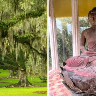 This Louisiana Garden Hides A 900-Year-Old Buddha Among 170 Lush Acres