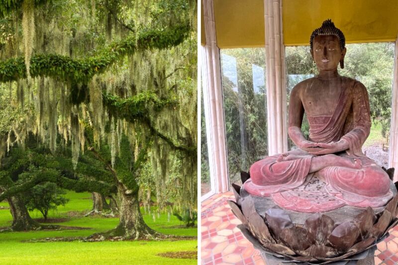 This Louisiana Garden Hides A 900-Year-Old Buddha Among 170 Lush Acres