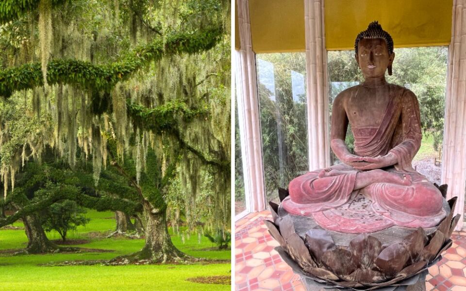This Louisiana Garden Hides A 900-Year-Old Buddha Among 170 Lush Acres