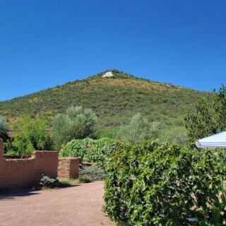 Tucson’s Mission Garden Grows Ancient Heritage Fruit You Get to Taste Right off the Trees