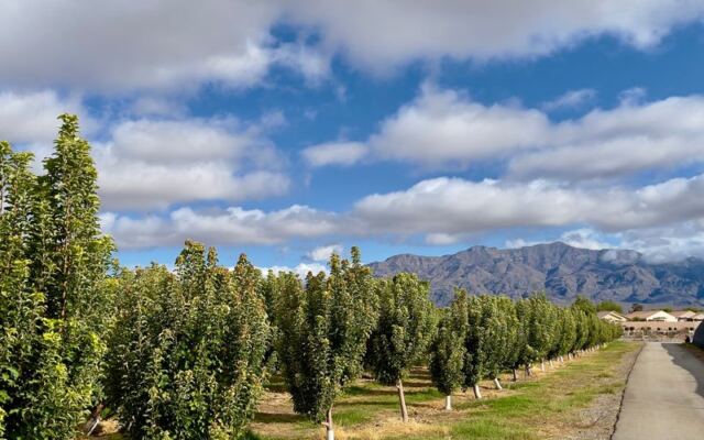 Food Lovers Trek To This Nevada Orchard For Pick-Your-Own Peaches, Fresh Berries, And Apple Cider Donuts