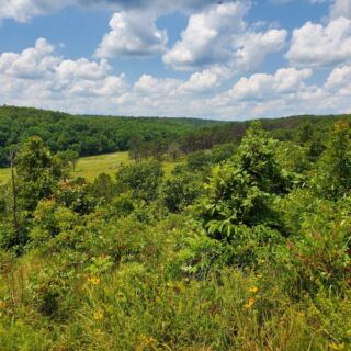 This Wild Oklahoma Preserve Lets You Hike the Same Rugged Hills Where Elk and Black Bears Still Roam
