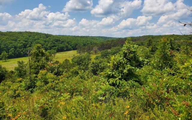 This Wild Oklahoma Preserve Lets You Hike the Same Rugged Hills Where Elk and Black Bears Still Roam