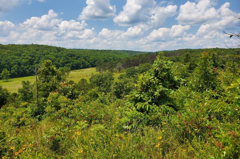This Wild Oklahoma Preserve Lets You Hike the Same Rugged Hills Where Elk and Black Bears Still Roam