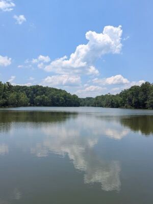 This South Carolina Reservoir Once Supplied a Town’s Drinking Water, but Now It’s Where Families Come to Fish