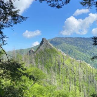 This Short Tennessee Trail Climbs 1,400 Feet in 2 Miles and Pays You Back With Huge Views