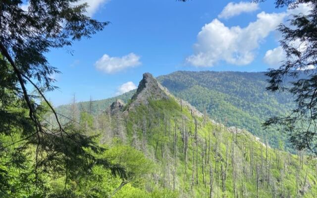 This Short Tennessee Trail Climbs 1,400 Feet in 2 Miles and Pays You Back With Huge Views