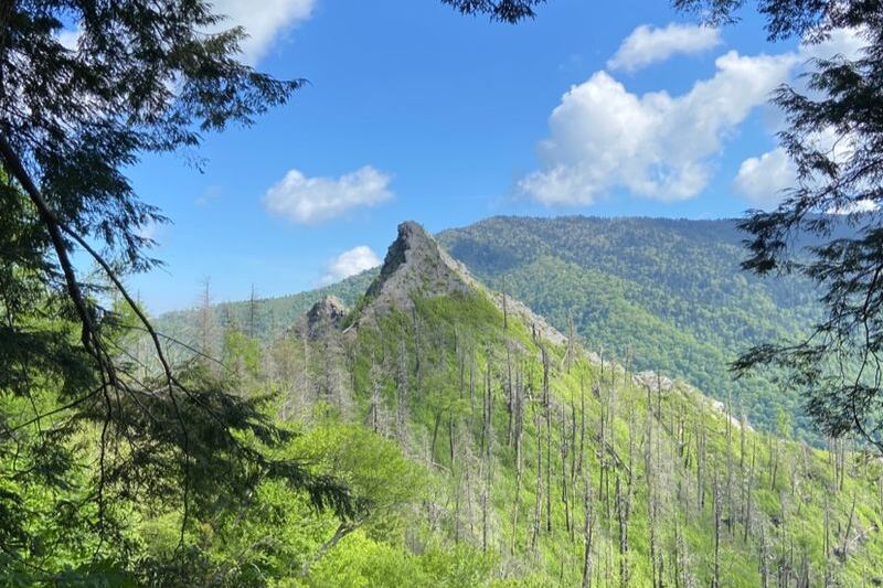 This Short Tennessee Trail Climbs 1,400 Feet in 2 Miles and Pays You Back With Huge Views