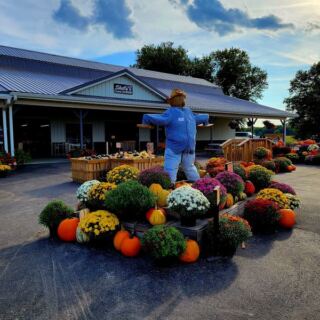 This Sprawling Wisconsin Farm Market Draws Food Lovers With Sweet Corn, Apple Cider Donuts, And Homemade Pies