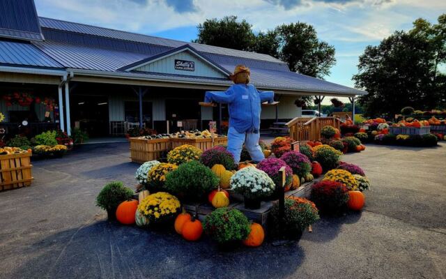 This Sprawling Wisconsin Farm Market Draws Food Lovers With Sweet Corn, Apple Cider Donuts, And Homemade Pies