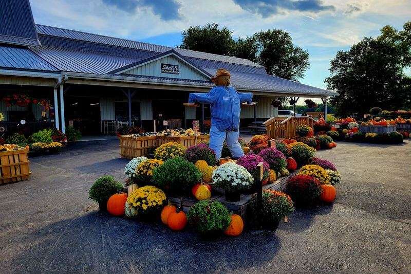 This Sprawling Wisconsin Farm Market Draws Food Lovers With Sweet Corn, Apple Cider Donuts, And Homemade Pies