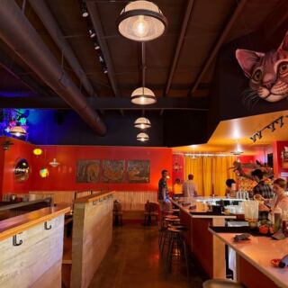 This Cat-Themed North Carolina Restaurant Turns Dinner Into a Feline Lover’s Dream