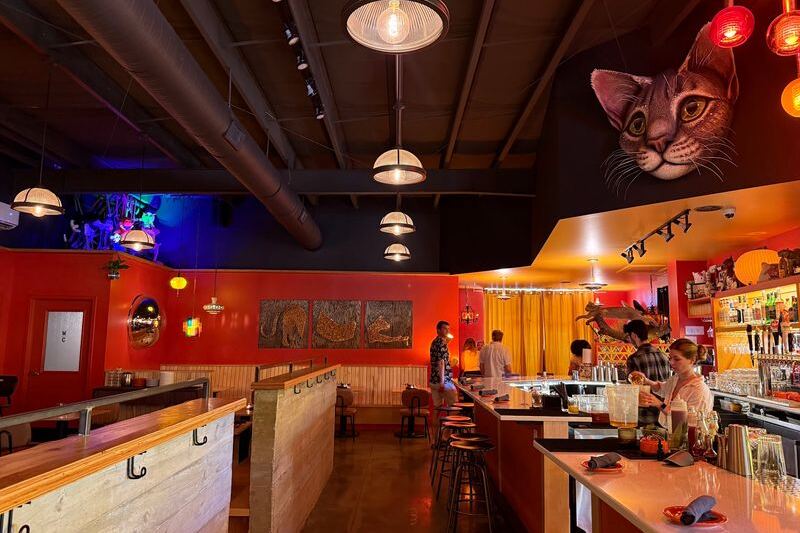 This Cat-Themed North Carolina Restaurant Turns Dinner Into a Feline Lover’s Dream