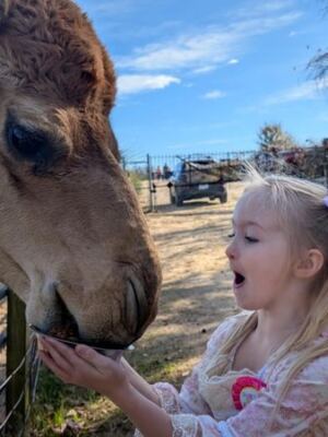 This North Carolina Rescue Sanctuary Lets You Get Hands-On With Sloths, Kangaroos, And Other Rescued Exotic Animals