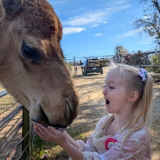 This North Carolina Rescue Sanctuary Lets You Get Hands-On With Sloths, Kangaroos, And Other Rescued Exotic Animals