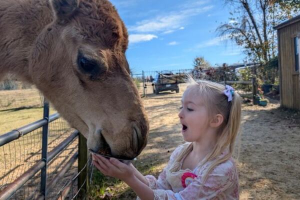 This North Carolina Rescue Sanctuary Lets You Get Hands-On With Sloths, Kangaroos, And Other Rescued Exotic Animals