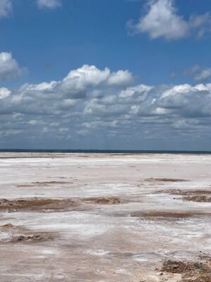 This Free Oklahoma Salt Flat Near Cherokee Lets You Dig Up And Keep Real Selenite Crystals