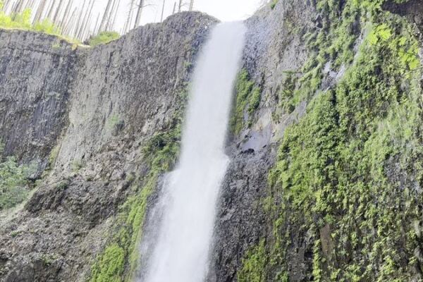 Walk Right Behind a Roaring Curtain of Water on This Oregon Trail’s Cliffside Tunnel