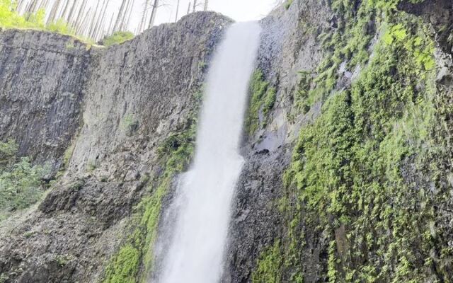 Walk Right Behind a Roaring Curtain of Water on This Oregon Trail’s Cliffside Tunnel