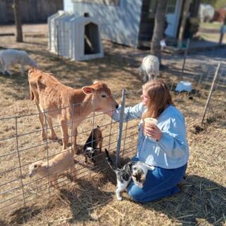 This Oklahoma Farm Stand Sells Fresh Eggs on the Honor System, and the Goats Greet You at the Gate