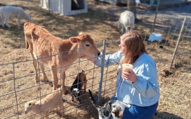 This Oklahoma Farm Stand Sells Fresh Eggs on the Honor System, and the Goats Greet You at the Gate