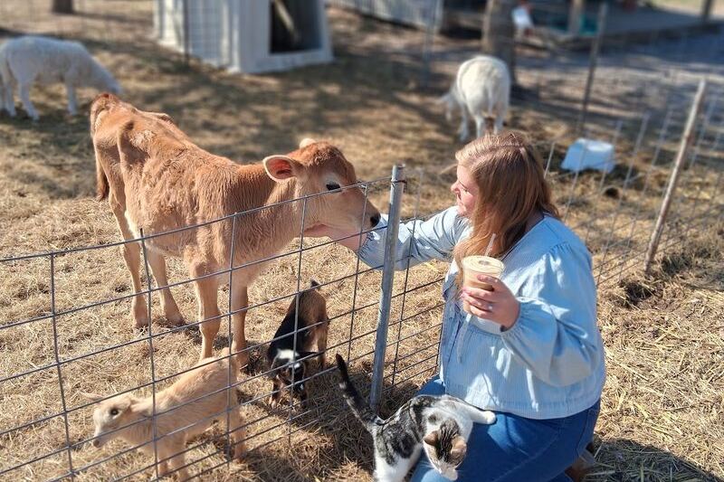 This Oklahoma Farm Stand Sells Fresh Eggs on the Honor System, and the Goats Greet You at the Gate