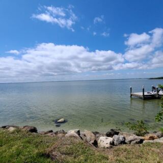 This Florida Waterfront Park Is A Quiet Spot To Watch For Manatees