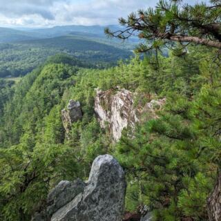 Fall Hikers in These 7 Massachusetts Hills Still Share the Trail With Timber Rattlesnakes
