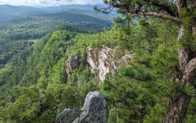 Fall Hikers in These 7 Massachusetts Hills Still Share the Trail With Timber Rattlesnakes