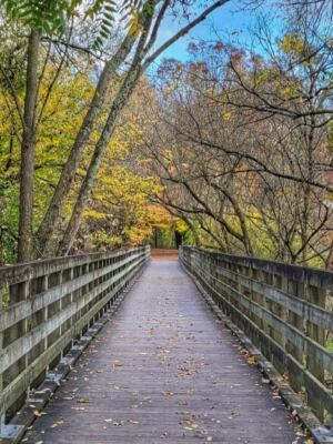 15 Southern Mountain Towns That Come Alive With Fall Color