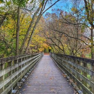 15 Southern Mountain Towns That Come Alive With Fall Color