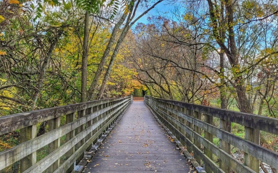 15 Southern Mountain Towns That Come Alive With Fall Color