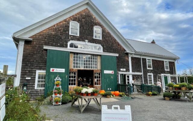 This Family-Run Massachusetts Farm Stand Bakes Cider Donuts in a Barn Where Goats Wait Out Back