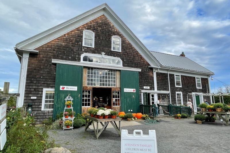 This Family-Run Massachusetts Farm Stand Bakes Cider Donuts in a Barn Where Goats Wait Out Back