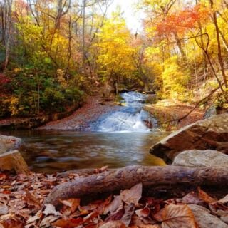 This Virginia Trail Leads To A Waterfall And An 1830s Iron Furnace