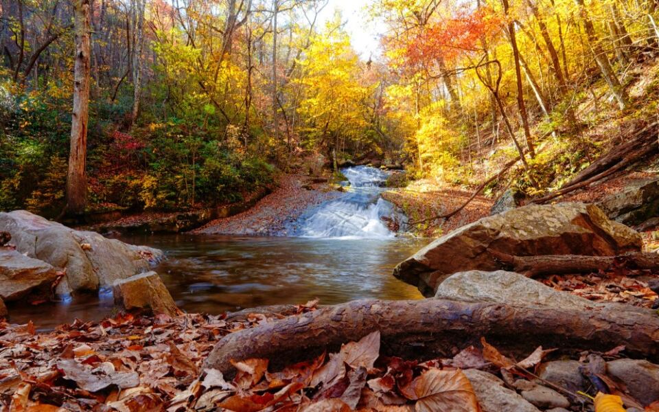 This Virginia Trail Leads To A Waterfall And An 1830s Iron Furnace