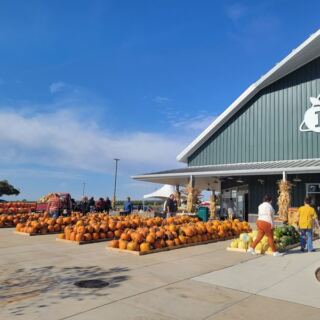 Pick Your Own Pumpkins At These 8 Illinois Patches Where The Hayride Is Half The Fun