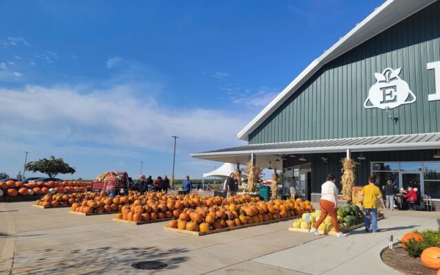Pick Your Own Pumpkins At These 8 Illinois Patches Where The Hayride Is Half The Fun