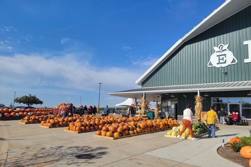 Pick Your Own Pumpkins At These 8 Illinois Patches Where The Hayride Is Half The Fun
