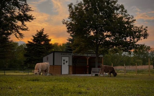At This Illinois Homestead You Can Brush And Cuddle Highland Cows And Their Fuzzy Calves