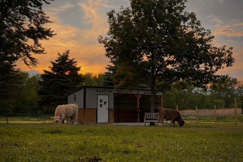 At This Illinois Homestead You Can Brush And Cuddle Highland Cows And Their Fuzzy Calves